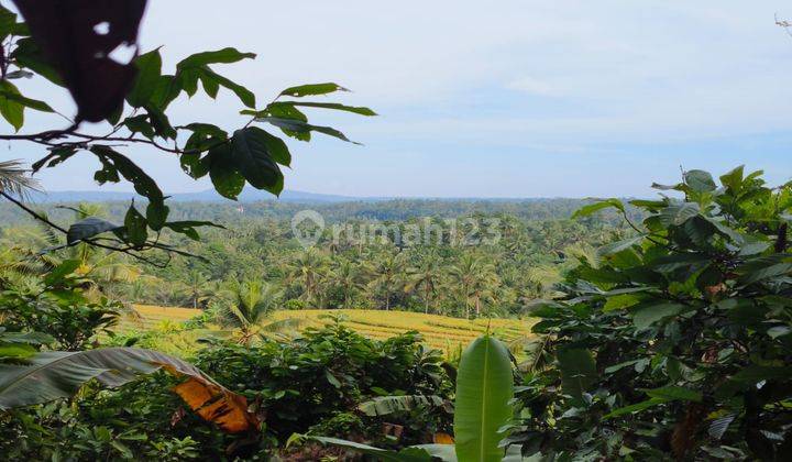 Tanah Kebun Luas Kecil View Sawah Dan Lembah Di Tabanan Bali. 1