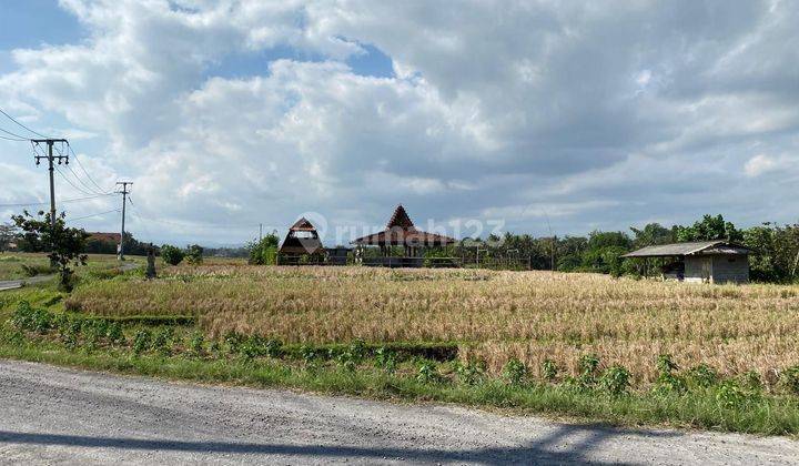 Tanah Luasan Kecil Dekat Pantai Dengan View Sawah Dan Laut Di Bali 2