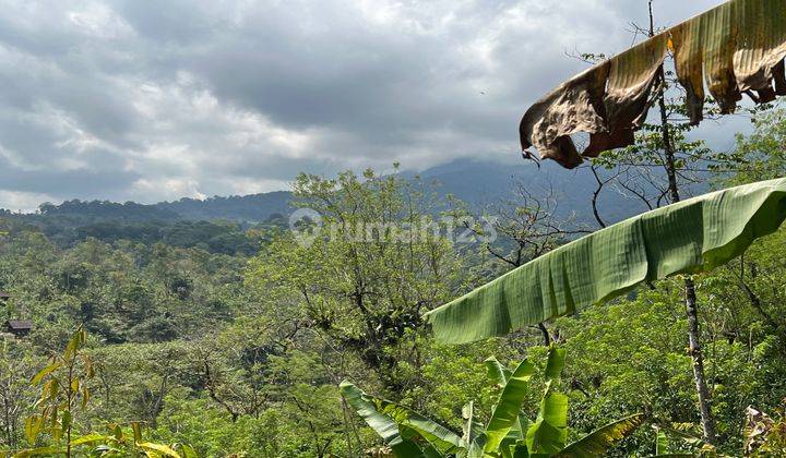 Beautiful Mountain and Valley View Garden Land in Tabanan Bali. 1