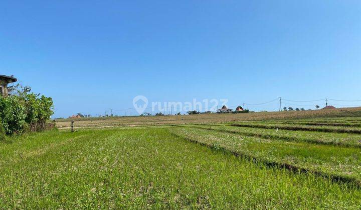 Tanah Luasan Kecil View Sawah Zona Pariwisata Di Bali 2