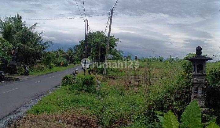 Dijual Tanah Zona Pariwisata View Sawah Gunung Dan Laut Di Tabanan 1