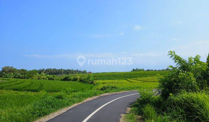 For Sale Cheap Land Near Beach In Tabanan Bali. 1