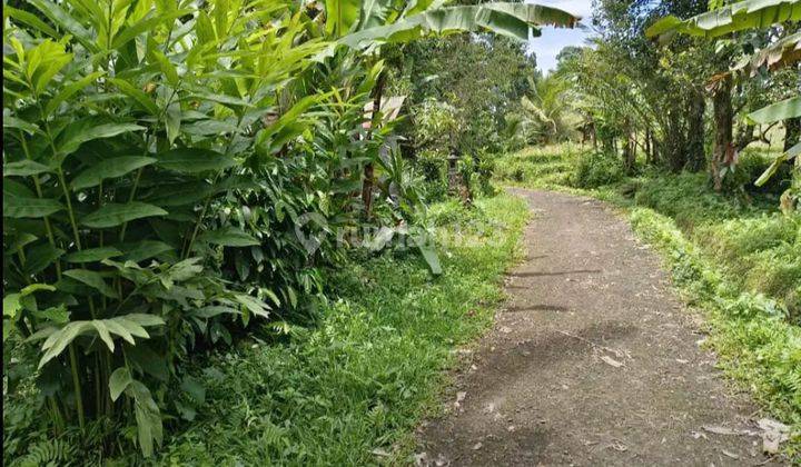 Small Garden Land with Cheap Rice Field View in Tabanan Bali 2