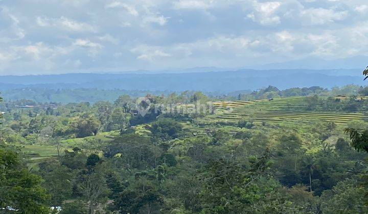 Coffee Plantation View Mountain Valley Rice Fields Los Sungai In Tabanan Bali. 2