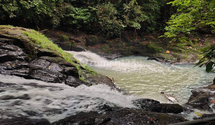 Tanah Kebun Los Sungai View Air Terjun Indah Di Tabanan Bali 2