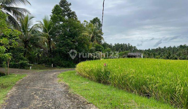 Dijual Tanah View Sawah Gunung Cocok Untuk Villa Di Tabanan Bali 1