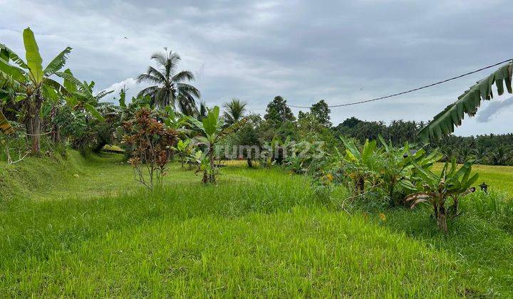 Dijual Tanah View Sawah Gunung Cocok Untuk Villa Di Tabanan Bali 2