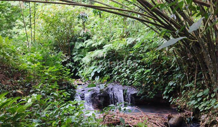 Tanah Kebun Buah Los Sungai Di Tabanan Bali. 2