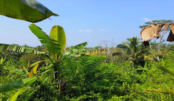 Land with Rice Field and Valley View in Tabanan Bali. 2