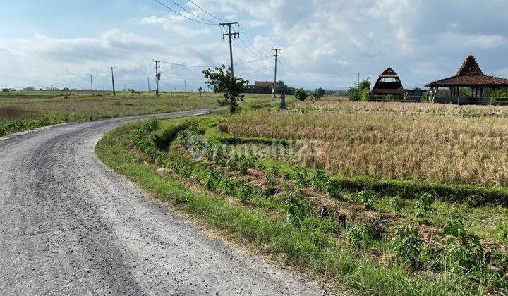 Tanah Luasan Kecil Dekat Pantai Dengan View Sawah Dan Laut Di Bali 1