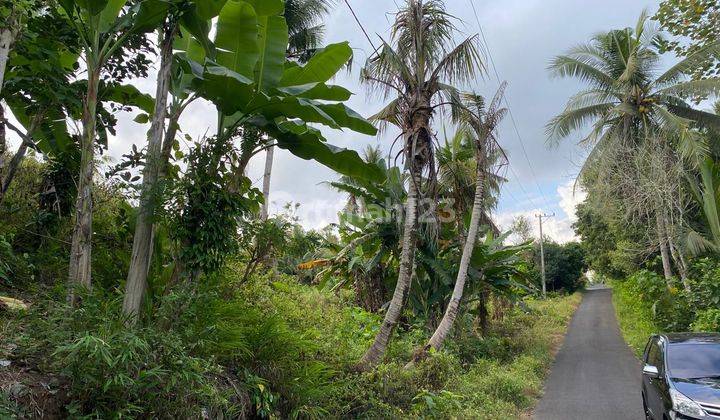 Tanah Kebun Dekat Dengan Paramount Dan Pintu Toll Pekutatan. 1