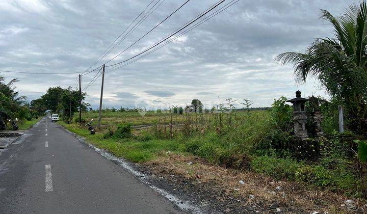 Dijual Tanah Zona Pariwisata View Sawah Gunung Dan Laut Di Tabanan 2