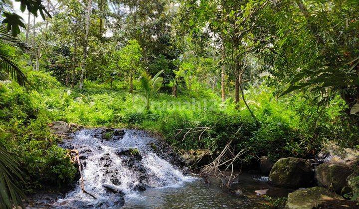 Tanah Kebun Los Sungai Di Tabanan Bali 1