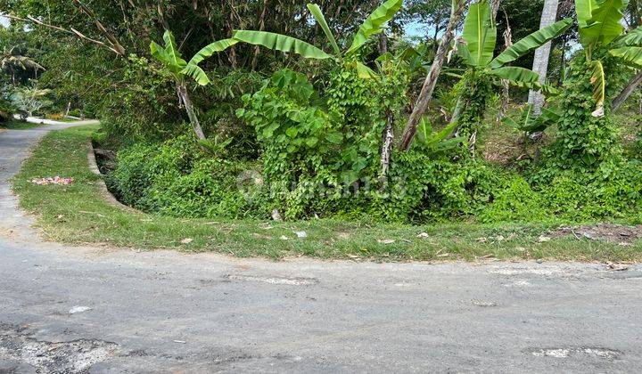 Tanah Kebun Luas Kecil Murah Di Tabanan Bali. 1