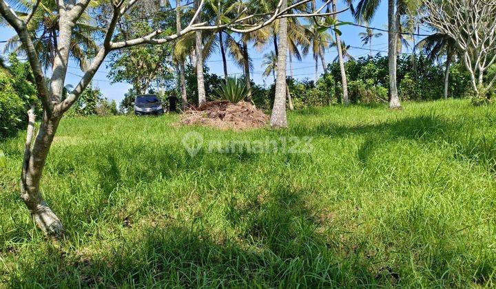 Tanah Datar Zona Pariwisata Cocok Untuk Villa Di Tabanan Bali 1