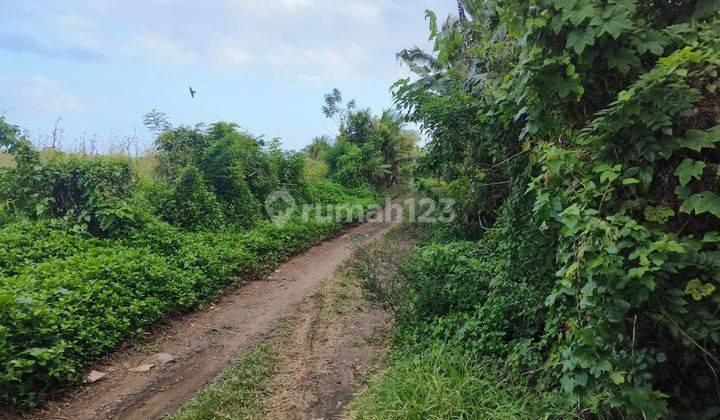 Tanah Kebun Los Sungai Dekat Pantai Murah Di Tabanan Bali. 2