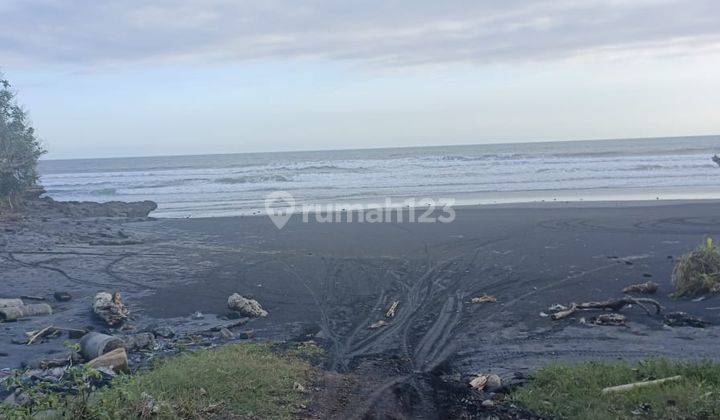 Jual Tanah Los Pantai Di Tabanan Bali 2