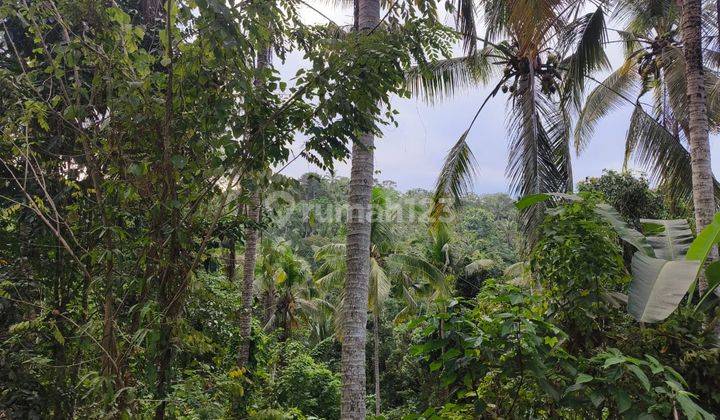 Tanah Kebun Los Sungai Dekat Pantai Murah Di Tabanan Bali. 1