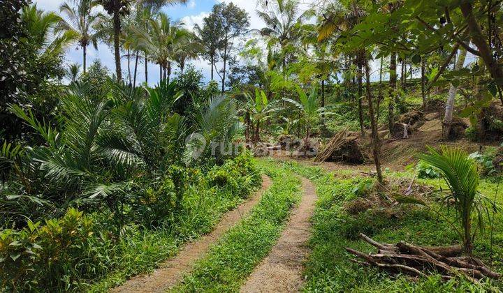 Tanah Kebun View Lembah Dan Sawah Di Tabanan Bali 1