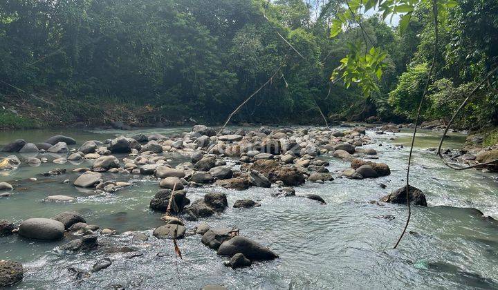 Dijual Tanah Dekat Pantai Los Sungai Di Tabanan Bali 1