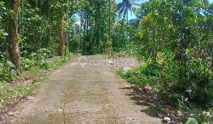 Dijual Tanah Kebun View Sawah Terasering Indah Di Tabanan Bali 1