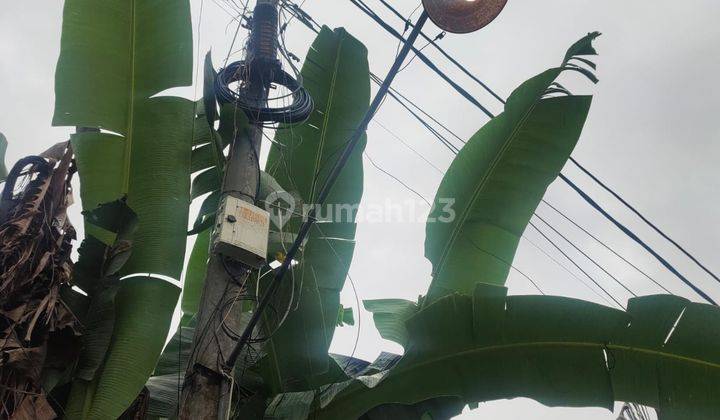 Tanah Kebun Dekat Jalan Utama Denpasar Gilimanuk Di Tabanan Bali. 2