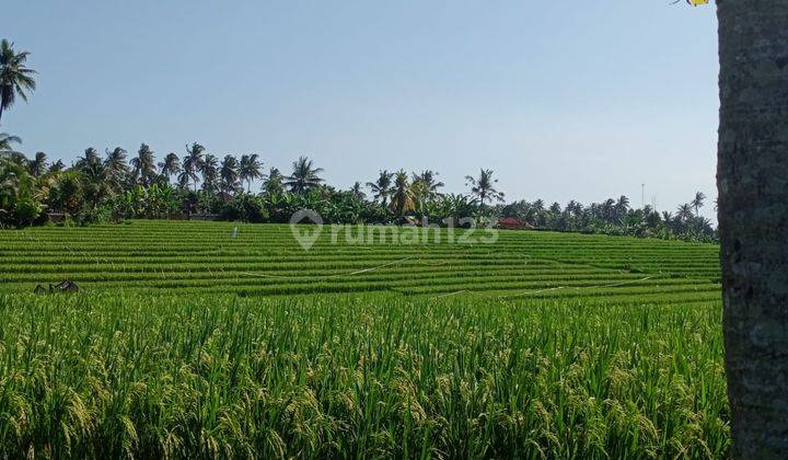 Jual Tanah Luas Kecil Dekat Pantai Surving Balean Tabanan Bali 2