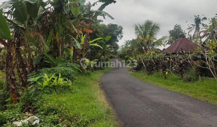 Tanah Kebun Dekat Jalan Utama Denpasar Gilimanuk Di Tabanan Bali. 1