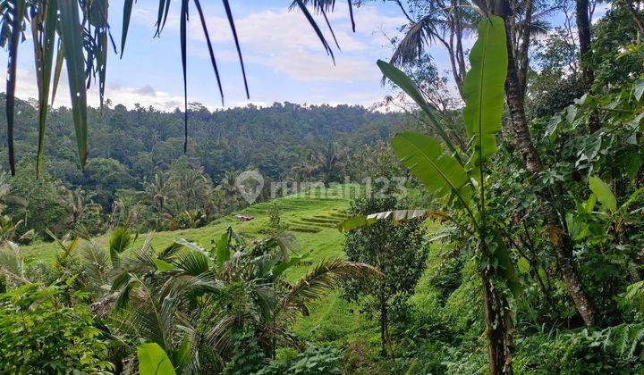 Land for Garden with Rice Field and Valley View in Tabanan Bali. 2