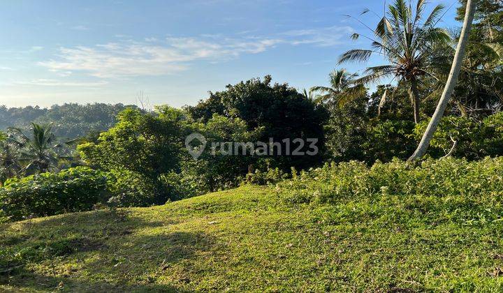 Tanah Kebun View Lembah Gunung Dekat Jalan Utama Di Tabanan Bali. 2