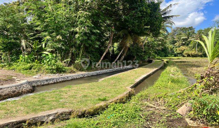 Tanah Kavling Lokasi Strategis Semana Ubud Gianyar Bali 2