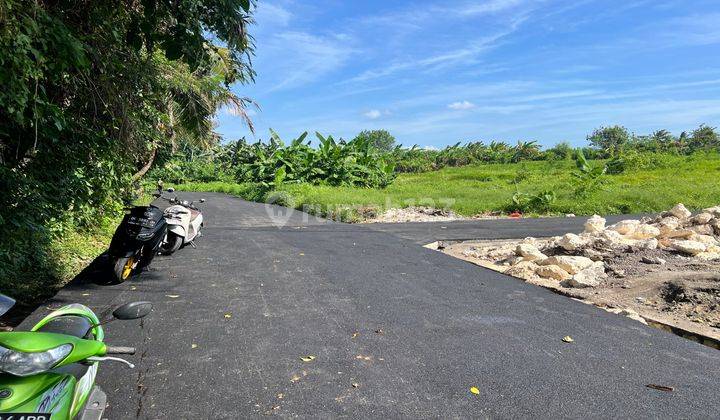 Tanah Kavling Lokasi Strategis Tumbak Bayuh Pererenan Bali 2