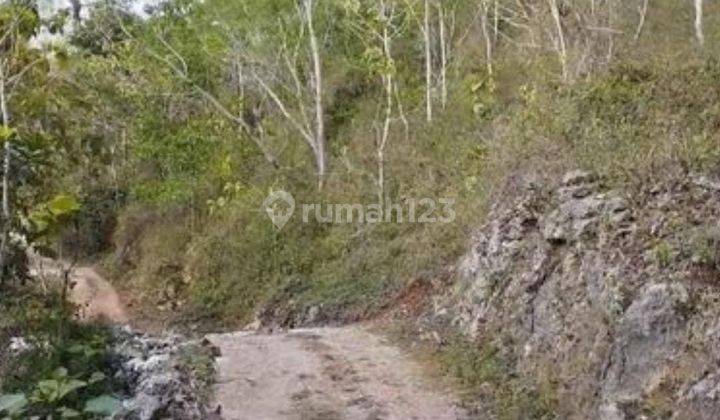 Investasi Tanah Gunungkidul Yogyakarta 2