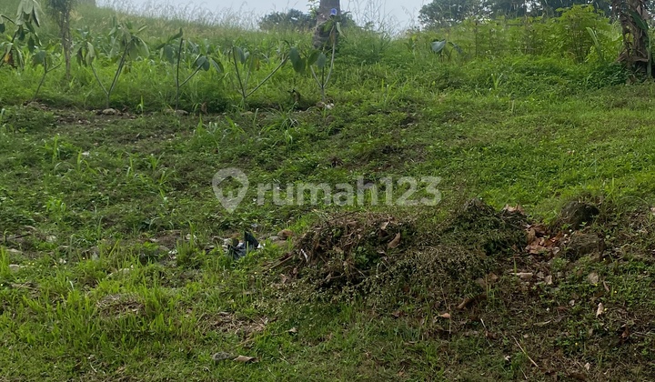 For Sale, Best View Plot, Prime Location in Sentul City. For Sale, Best View Plot, Prime Location in Sentul City.