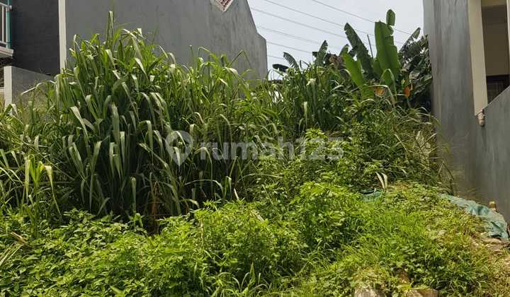 Kavling di jl Dukuh Dukuh, Kec. Kramat jati, Kota Jakarta Timur, Daerah Khusus Ibukota Jakarta Kavling di jl Dukuh Dukuh, Kec. Kramat jati, Kota Jakarta Timur, Daerah Khusus Ibukota Jakarta