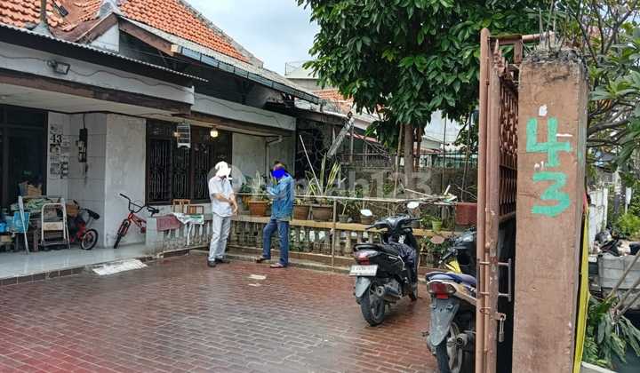 Rumah Dijual /Sewa di Petojo Utara, Kecamatan Gambir, Kota Jakarta Pusat S264 Rumah Dijual /Sewa di Petojo Utara, Kecamatan Gambir, Kota Jakarta Pusat S264