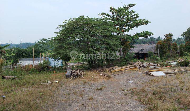 T002 Dijual Tanah Didaerah Ciatuy Tigaraksa  2