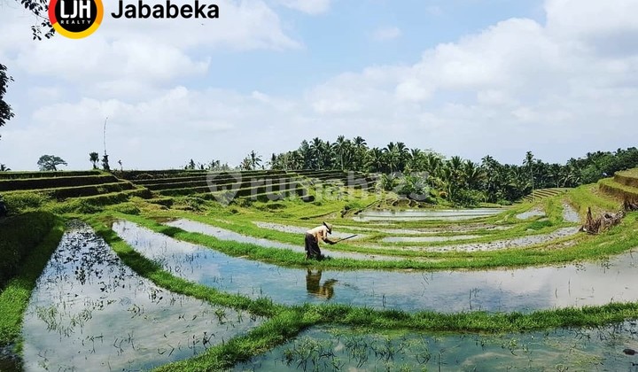 Strategic Land for Sale in Banjar Gempinis Kangin, Dalang Village - Tabanan Bali