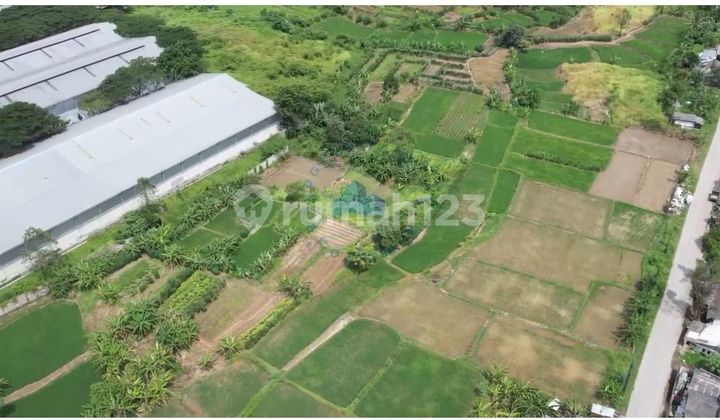 Tanah SHM Zona Industri Row Jalan Luas Strategis Cikande, Serang.