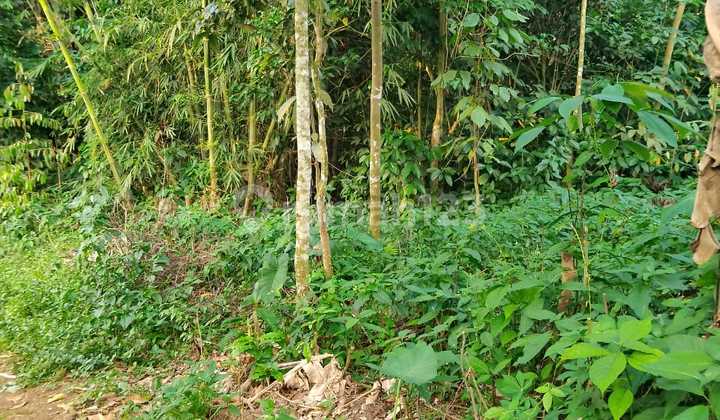 Tanah 800m Serba Guna Cocok Untuk Usaha dan Pariwisata Sukaresmi. Tanah 800m Serba Guna Cocok Untuk Usaha dan Pariwisata Sukaresmi.