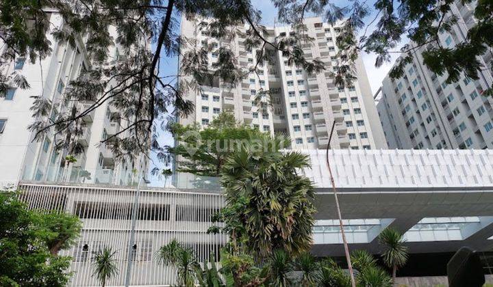 Apartemen Sky Terrace Daan Mogot 1 Br Jual Murah Dan Cepat 1