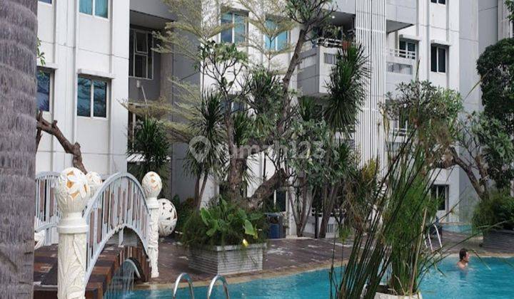 Apartemen Sky Terrace Daan Mogot 1 Br Jual Murah Dan Cepat 2