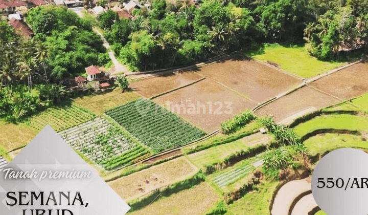 Tanah Kavling Premium di Ubud, Gianyar SHM 300 m² 1