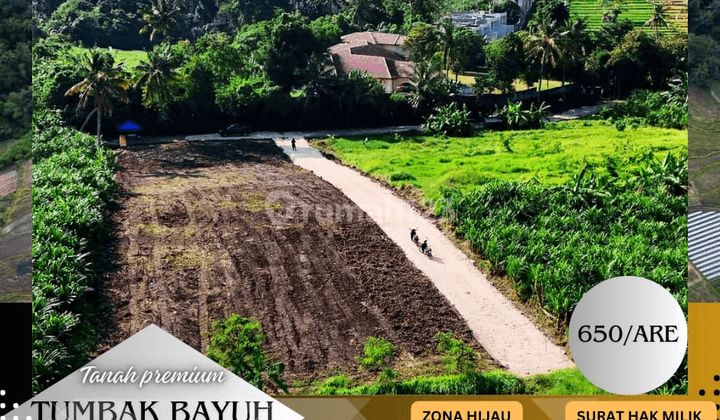 Premium Land Plot SHM 225 m² Tumbak Bayuh Parerenan 1