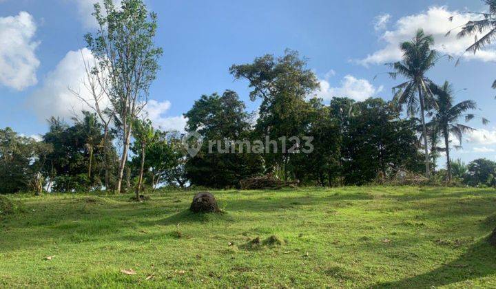 Cheap Land for Sale Tabanan Bali 1