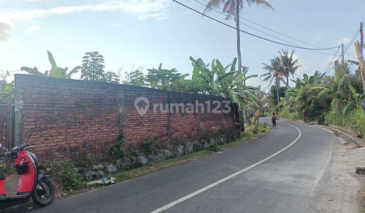 Dijual Tanah Bali Murah + Kolam + Pinggir Jalan + View Sawah 1