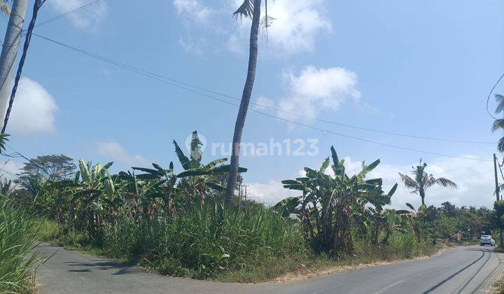 Cheap Land for Sale Bali Roadside Tourism Area 1