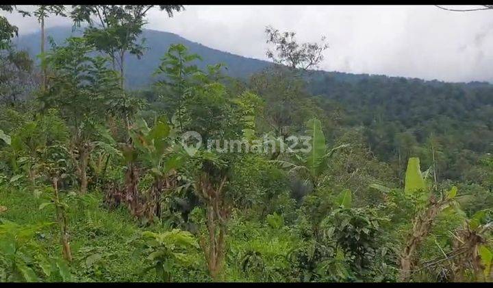 Dijual Tanah Murah View Gunung Dan Dataran Tinggi Tabanan 1