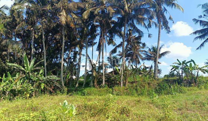 Bali Land For Sale Nature View And Small River 1