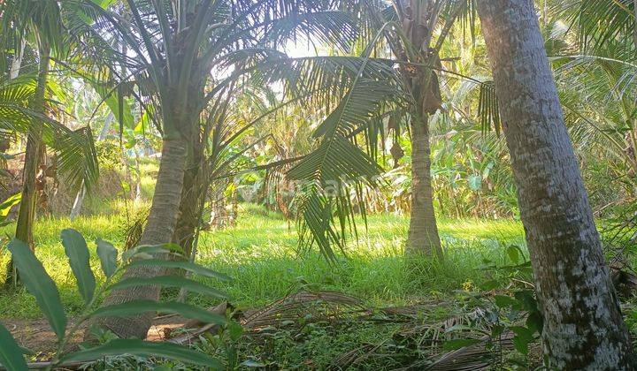 Cheap land for sale near RS Kasih Ibu Saba 2